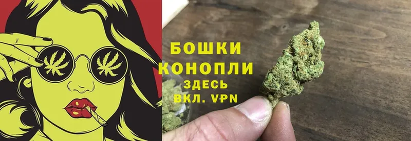 блэк спрут маркетплейс  Нефтекумск  Конопля SATIVA & INDICA  купить закладку 